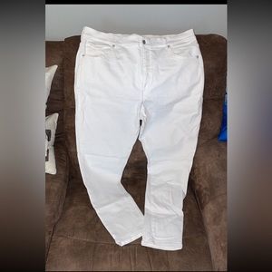 Express high rise pants